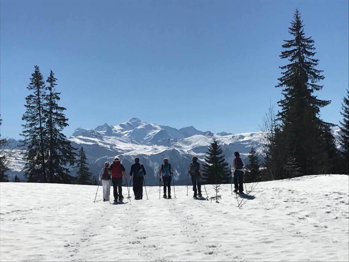 Village Vacances Le Berouze Samoëns Exterior foto